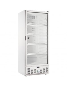 Armoire froide positive 540L Ext Blanc 1 porte vitrée Groupe Logé